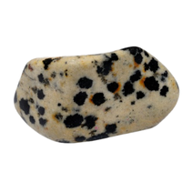 Dalmāciešu jašmas akmens ar raksturīgajiem gaišajiem un tumšajiem plankumiem - līdzsvara un rotaļīguma minerāls